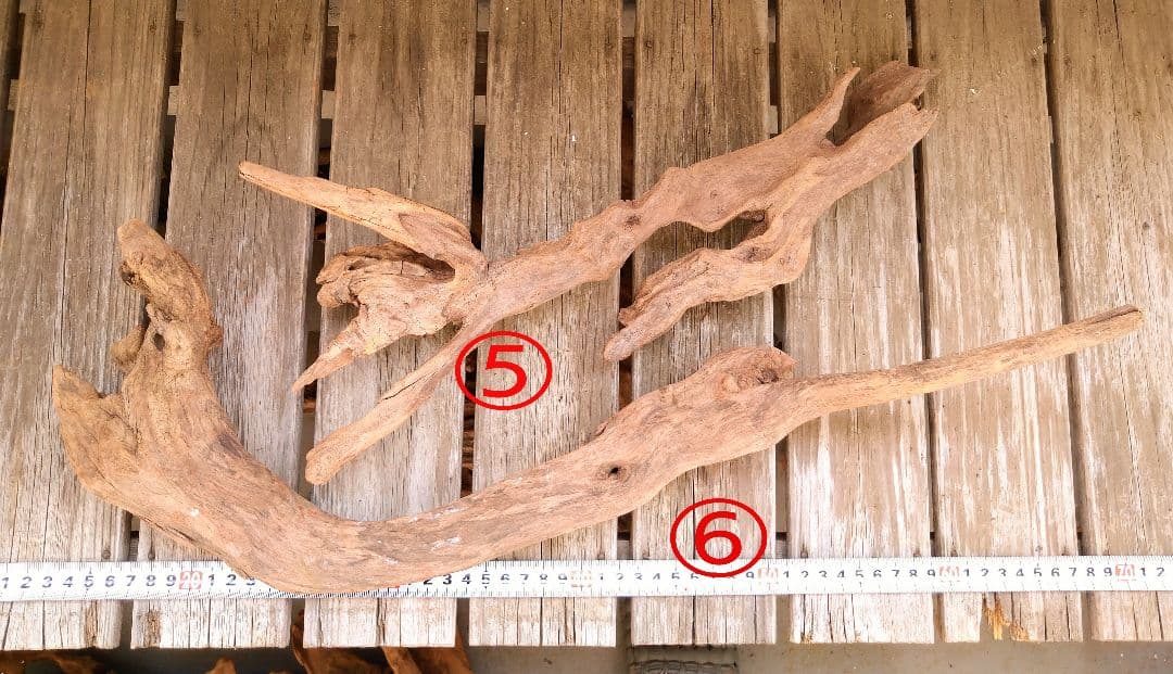 アクアリウム用品　レイアウト 良型 流木 Ｌサイズ　７本セット