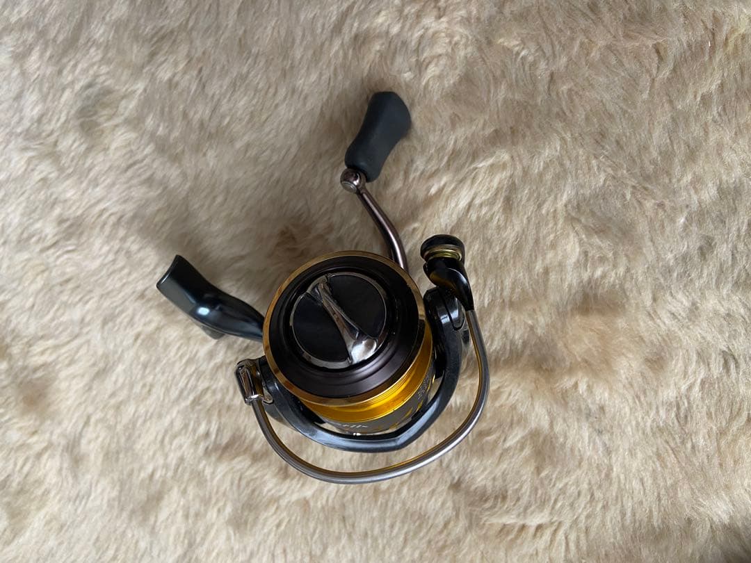 ダイワ 13セルテート2506H