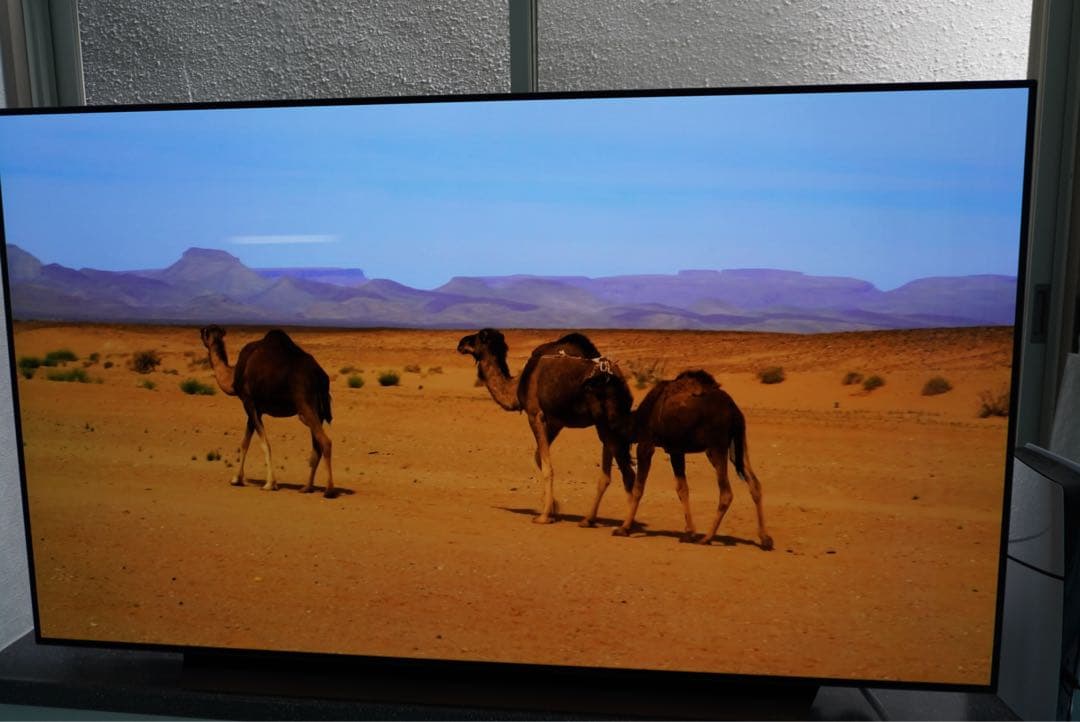 LG OLED65CXPJA 65インチ 有機ELテレビ