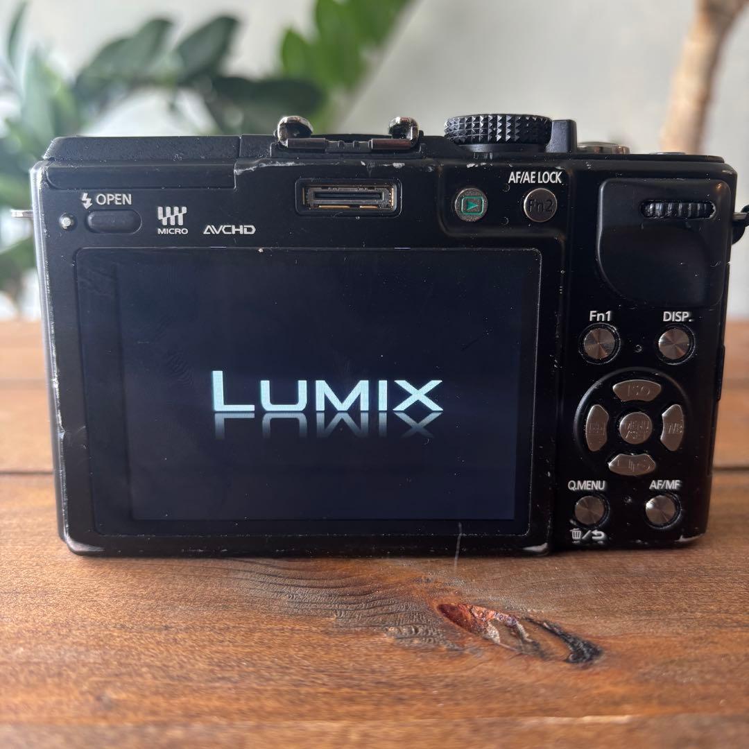LUMIX GX1 ミラーレスカメラ 本体と充電器