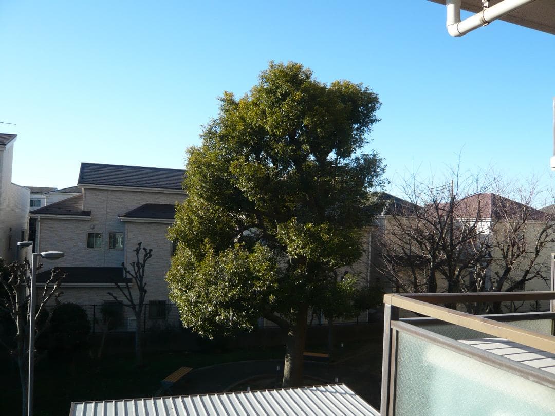 LEICA コンパクトデジタルカメラ C-LUX2 中古