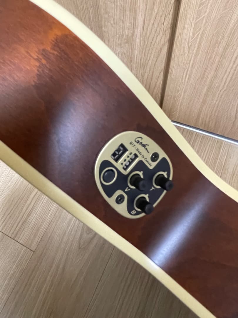 La Patrie Arena CW QIT エレガットギター GODIN製