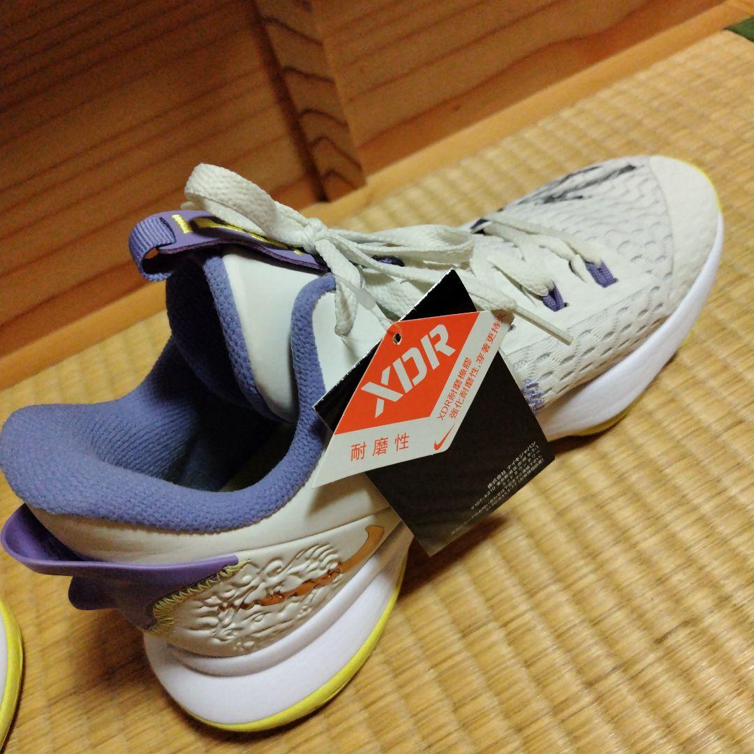 富樫勇樹選手サイン入りバスケットシューズ