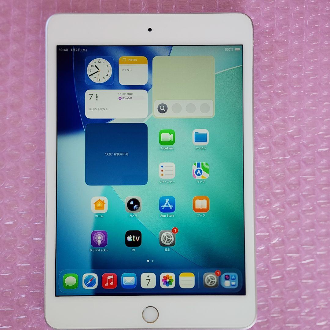 美品　iPad mini 第5世代　バッテリー良好　64GB　WiFiモデル