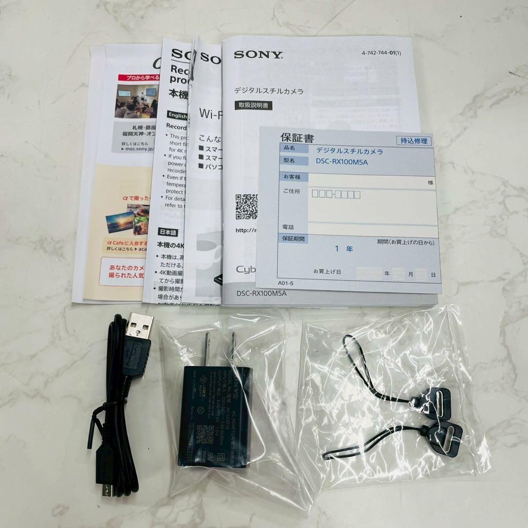 SONY(ソニー) Cyber-shot DSC-RX100M5A 箱付属品付き