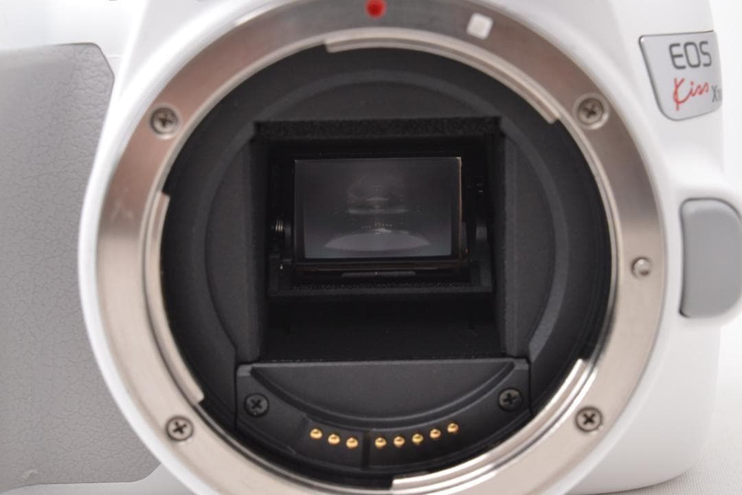■ 美品 ■ キャノン　Canon EOS Kiss X10 希少ホワイト