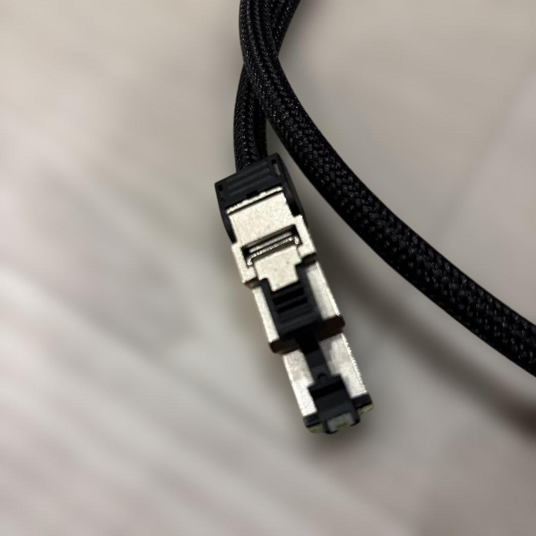 ACOUSTIC REVIVE アコリバ　LAN-1.0 Triple C