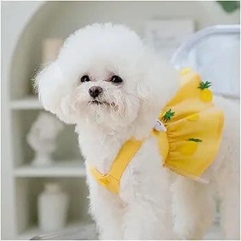 夏犬ドレス小型犬用高級犬服チワワフレンチブルドット　S