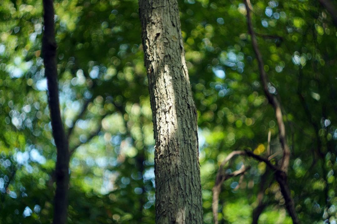 30　未使用　ぐるぐるボケレンズ　 ヘリオス　44-2　M42