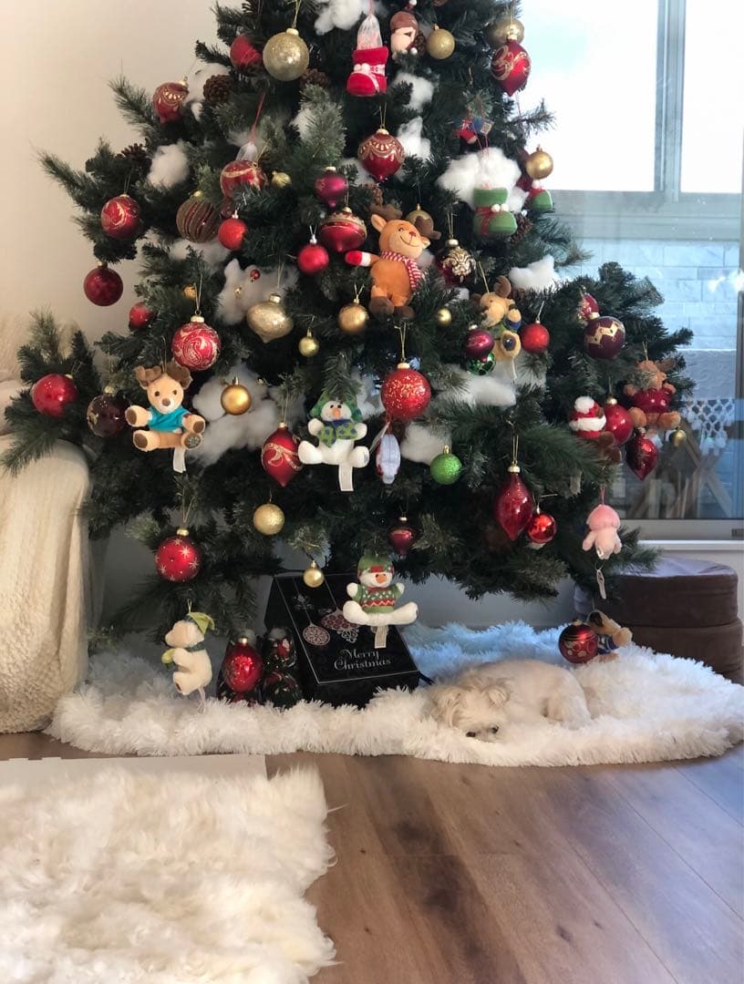 大阪引取り限定！総額6万円相当！超リアルなクリスマスツリーとオーナメントセット