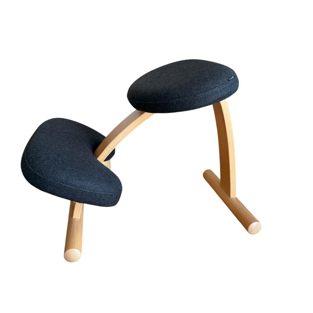 バランスイージー 通常フレーム バランスチェア リボ社 腰痛対策 椅子