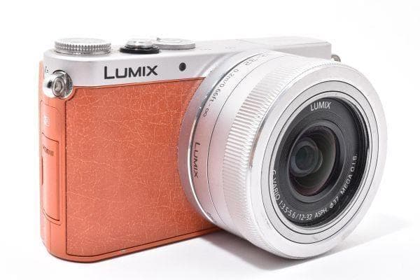 パナソニック Panasonic LUMIX DMC-GM1 レンズキット
