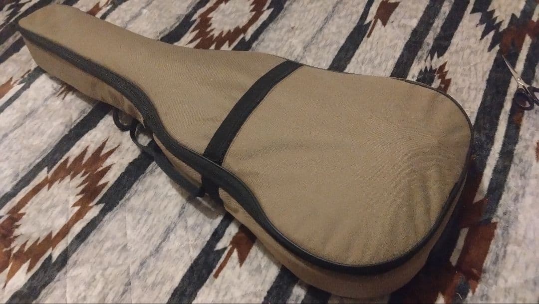 Art & Lutherie アート&ルシアー Ami Cedar Nylon