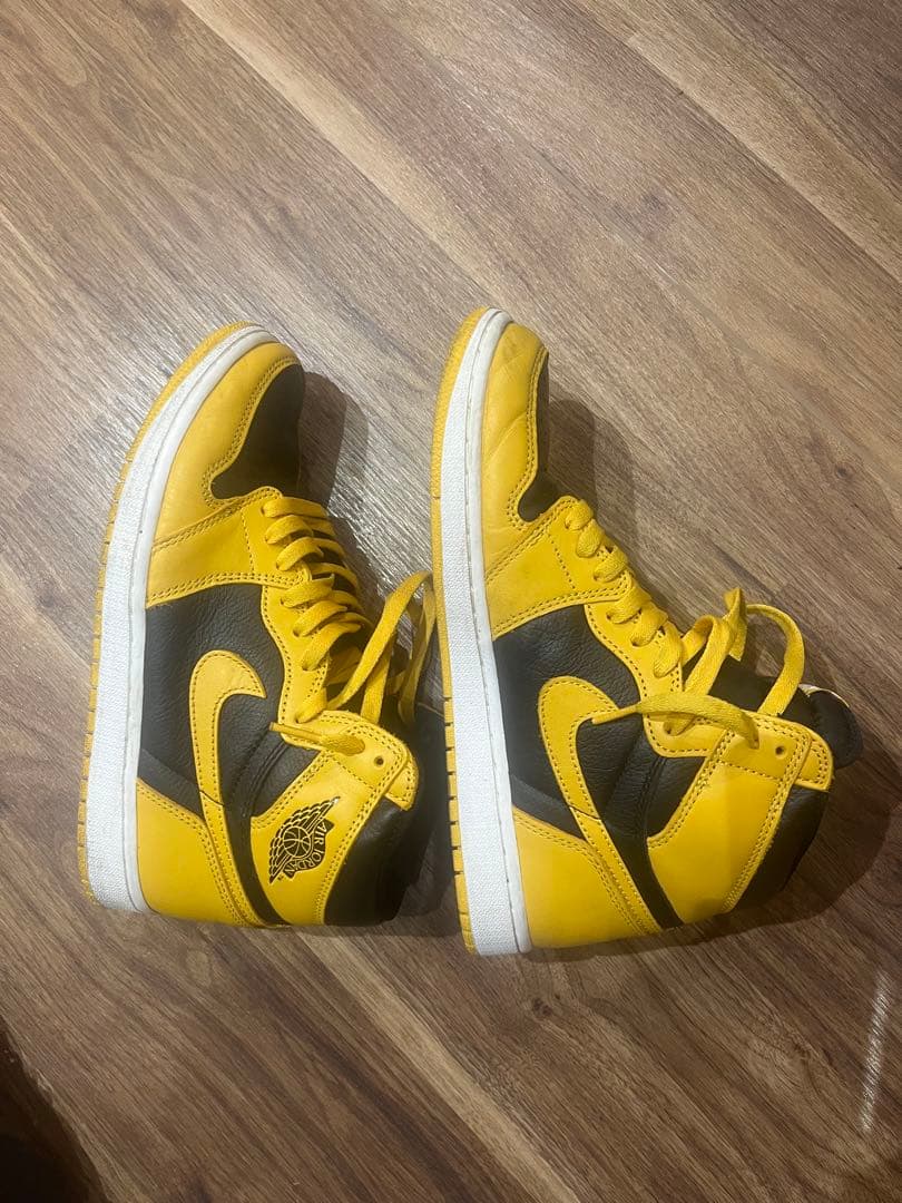 NIKE エアジョーダンワン パラン