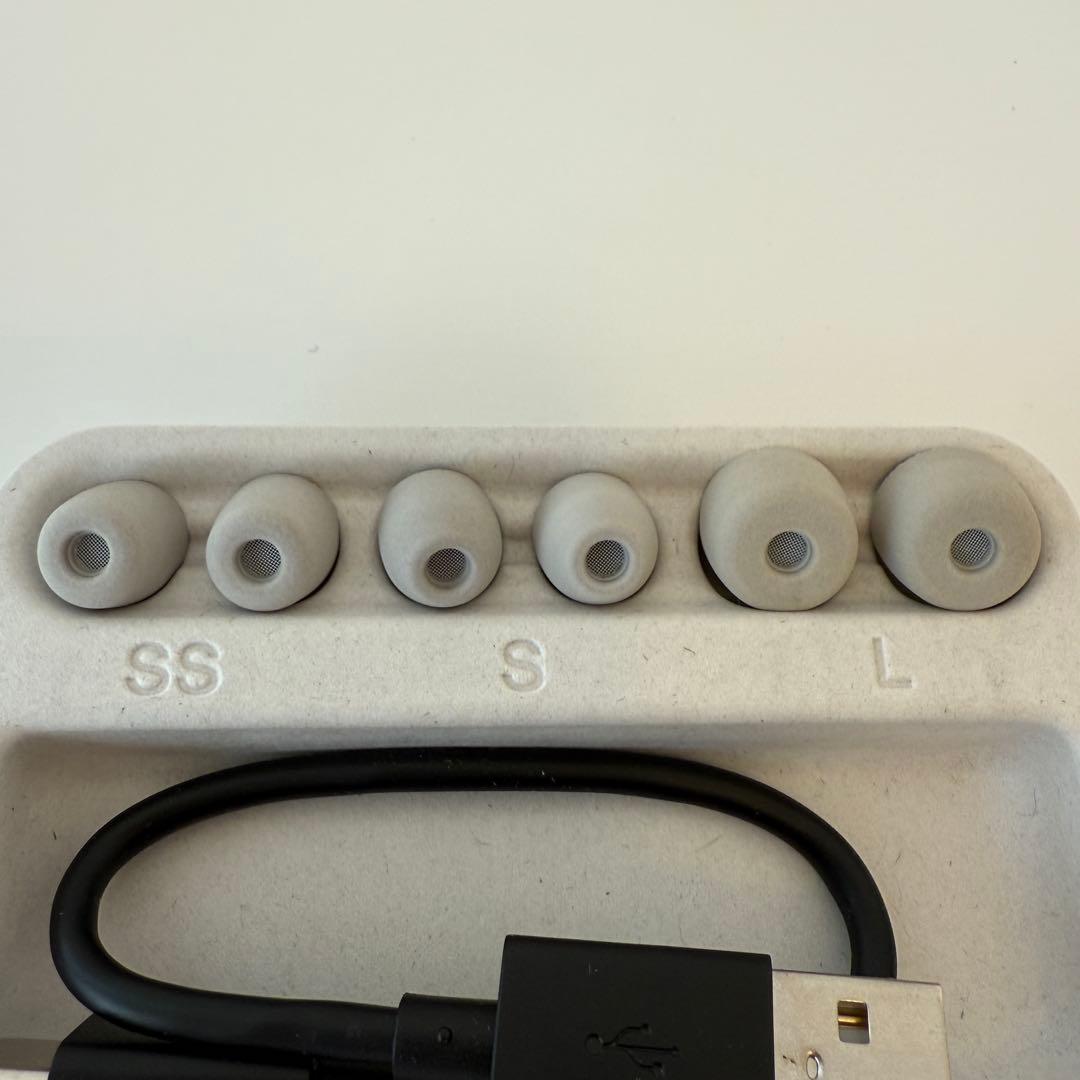 【美品】SONY WF-1000XM5 ワイヤレスイヤホン 【付属品完備】