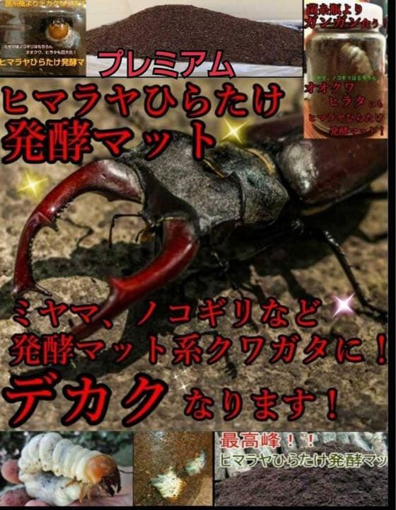 ミヤマクワガタ、ノコギリ幼虫に抜群！800mlボトル入プレミアム発酵マット15本