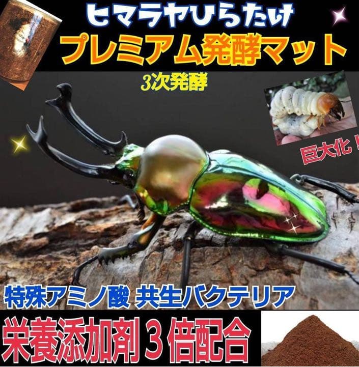 ミヤマクワガタ、ノコギリ幼虫に抜群！800mlボトル入プレミアム発酵マット15本