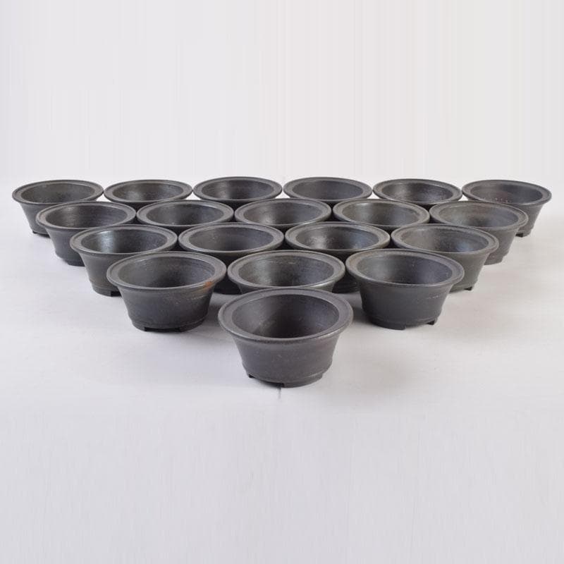 中国　紫砂　紫泥　鉢　植木鉢　在銘　19点まとめて　C　8821