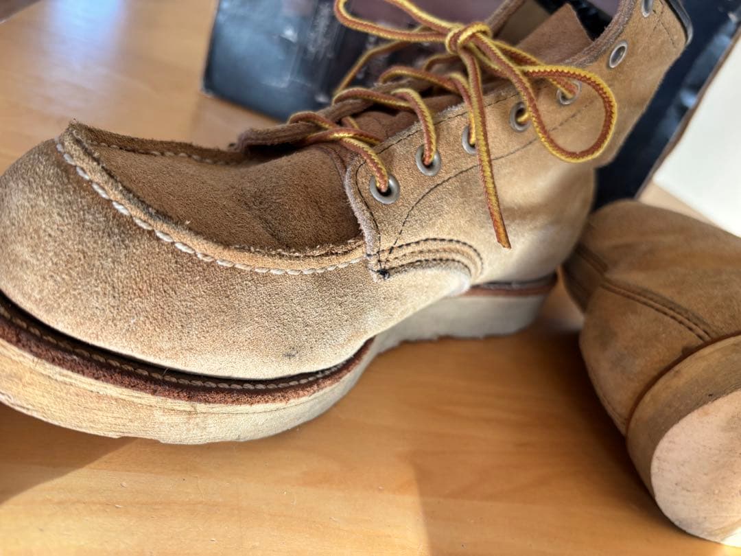 【てん】香港返還モデル レッドウィング 8173 アイリッシュセッター