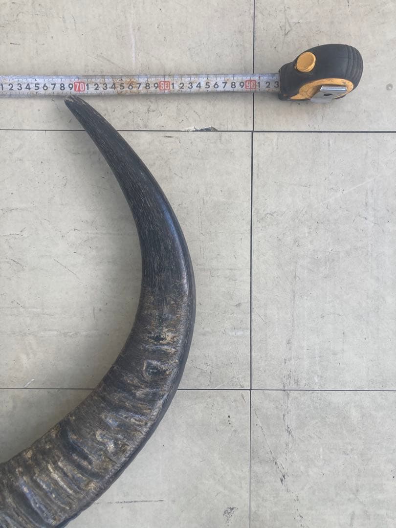 バッファロースカル　特大　壁飾り　オブジェ　アンティーク