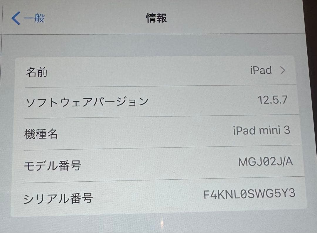 Apple iPad mini 3 本体