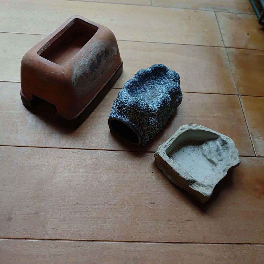 中型ガラス飼育ケージ + 加熱パネル