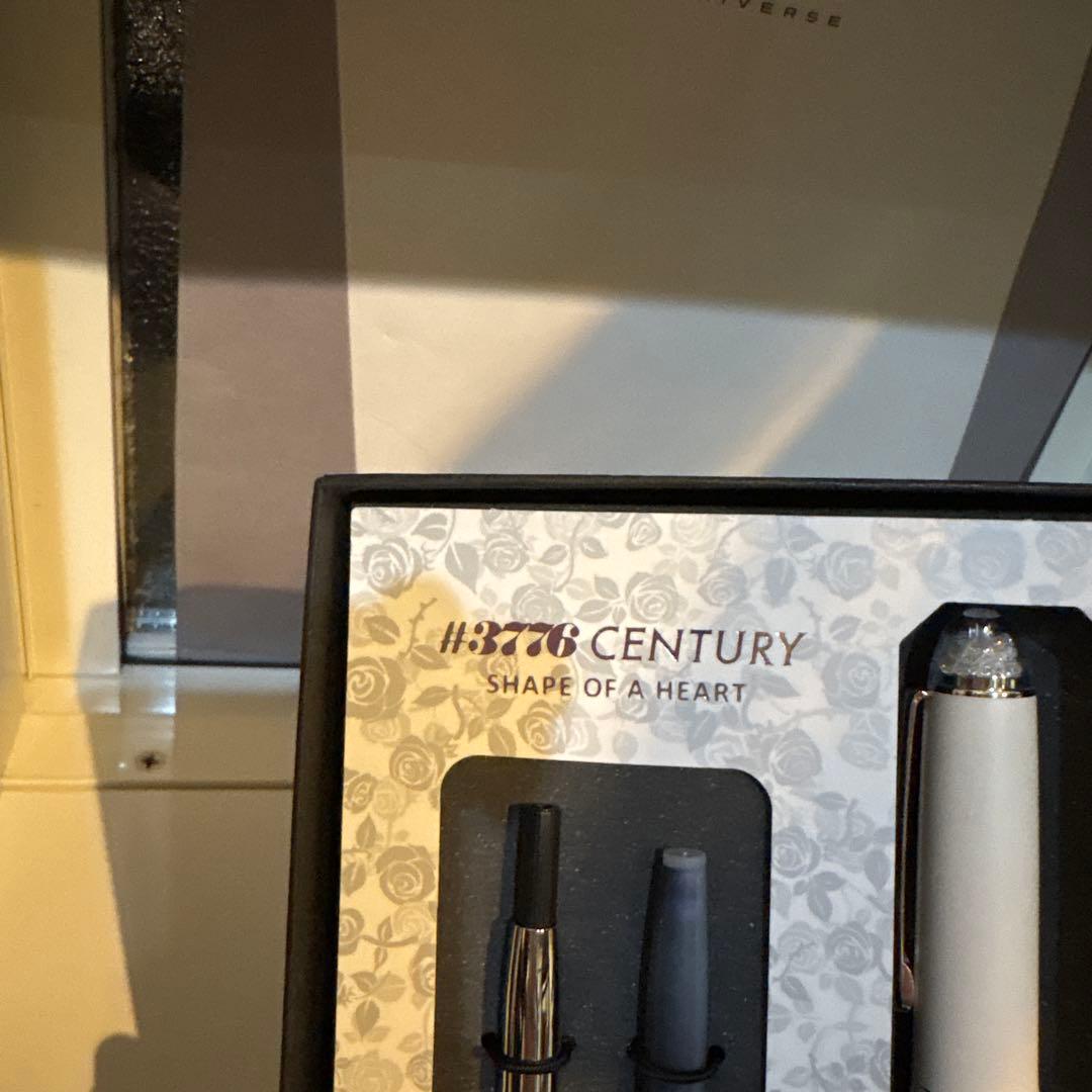 プラチナ　万年筆　マットホワイト