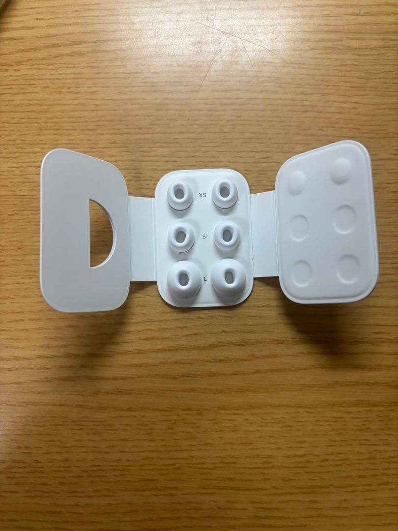 air pods pro 2(第二世代) Lightning Apple