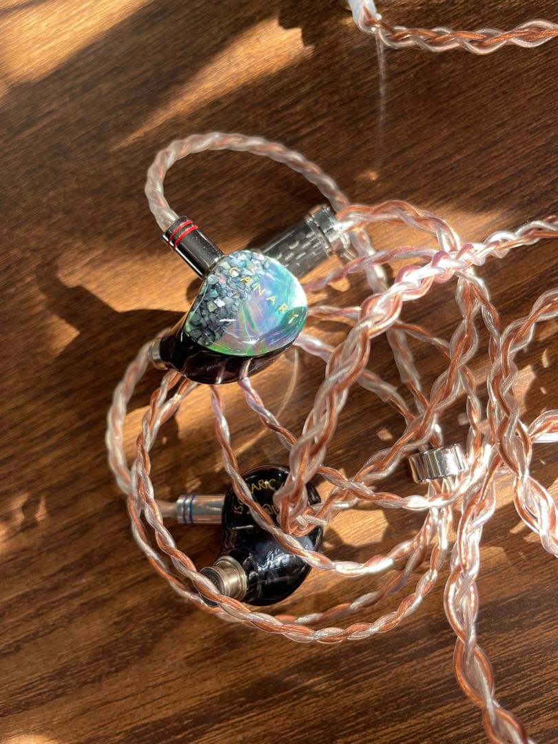 N*1様 AAW canary 専用ケース付き