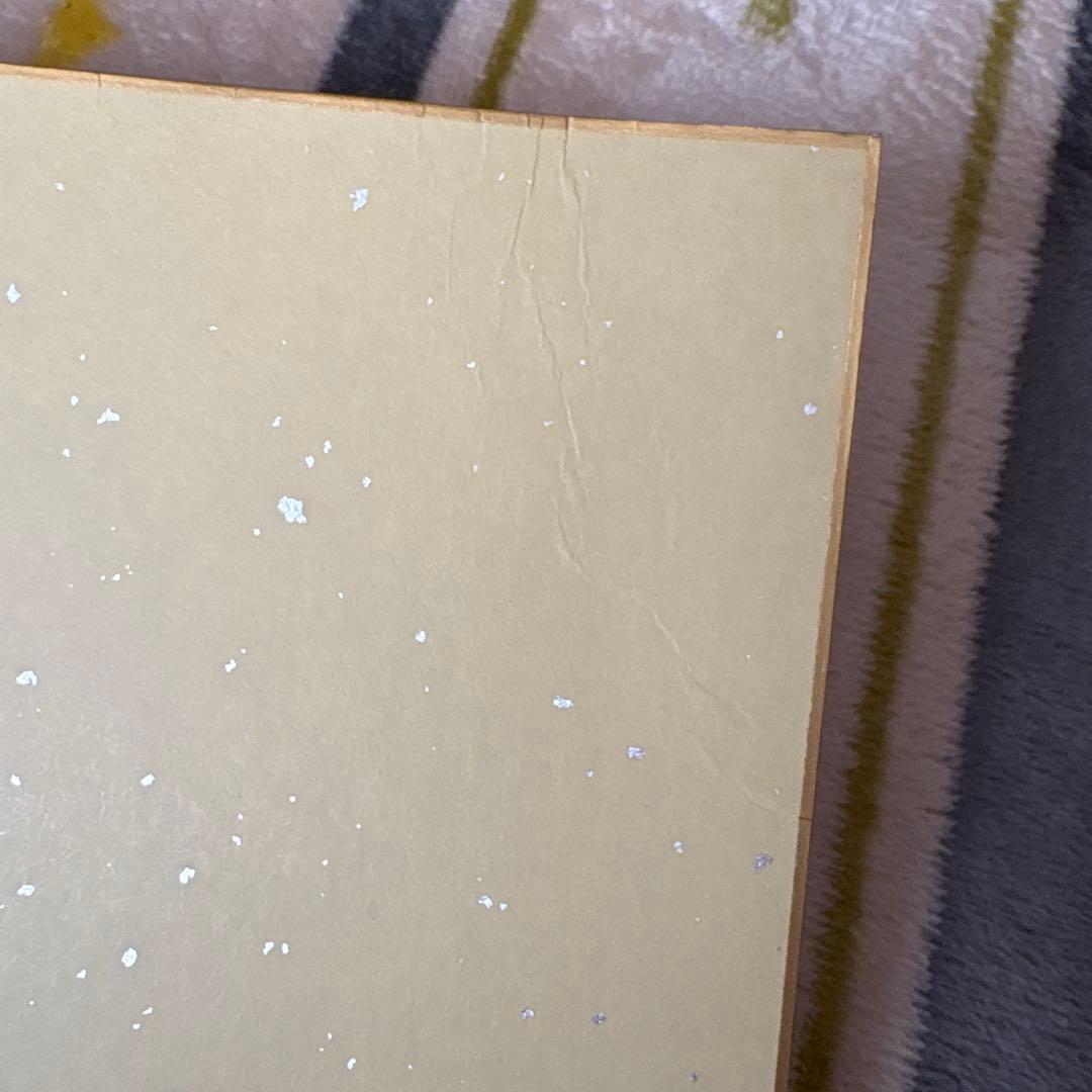 ファイターズ 日ハム 山﨑福也 齋藤友貴哉 サイン色紙 (難あり)