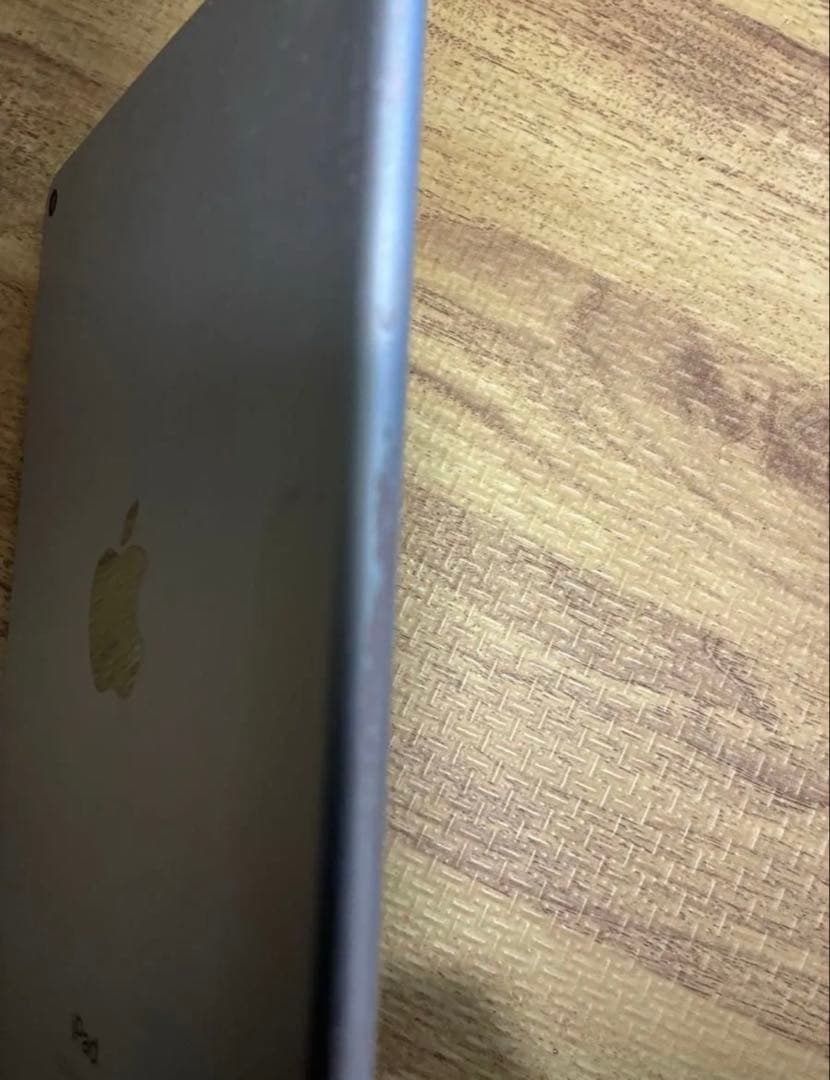 iPadmini 第5世代 64GB Apple iPadmini5 本体