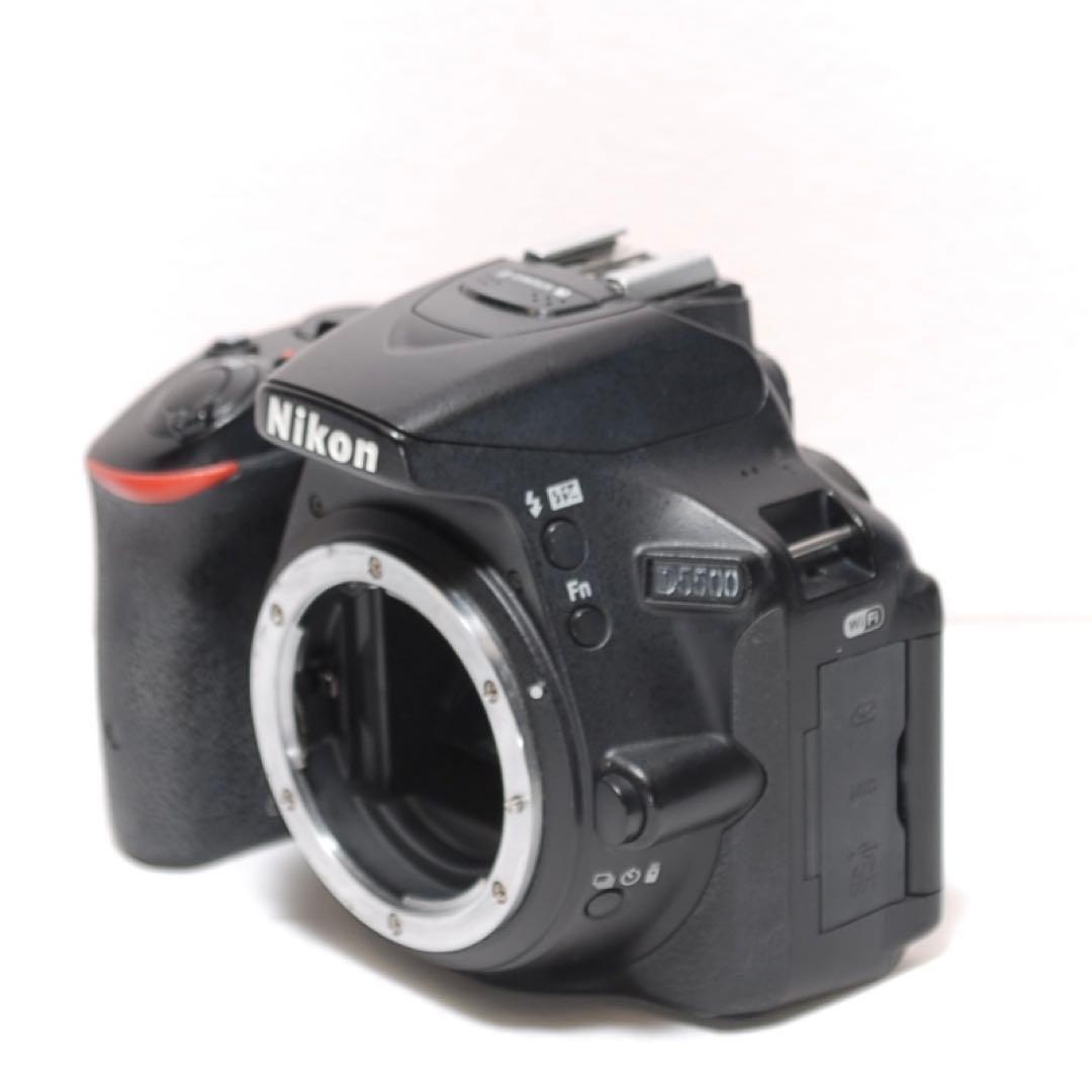 ✨Wi-Fi機能搭載✨Nikon D5500✨ ✨シングルレンズ✨高画質✨