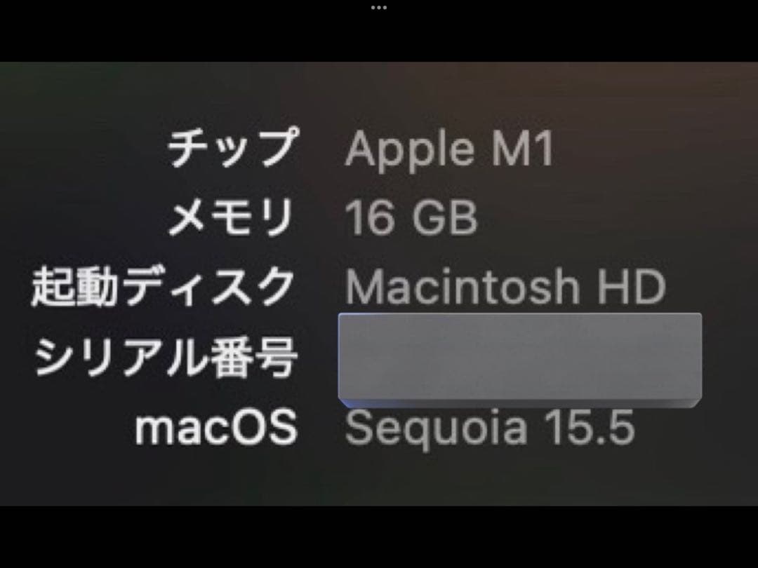 M1 Mac mini 2TB メモリ16GB