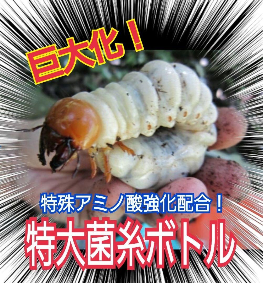 極上！カワラタケ菌糸瓶　特大1500ml【5本】特殊アミノ酸強化配合！デカクなる