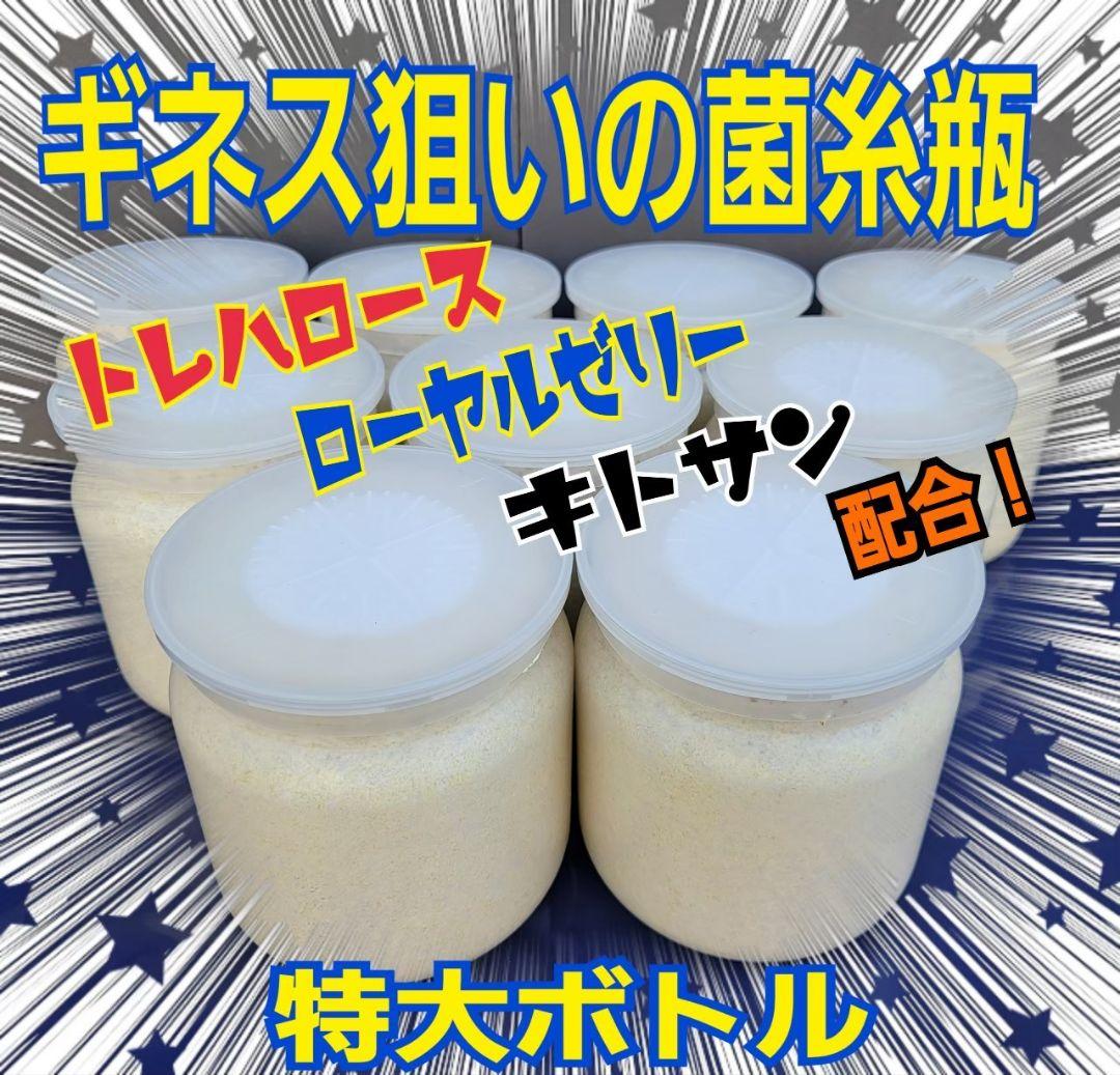 極上！カワラタケ菌糸瓶　特大1500ml【5本】特殊アミノ酸強化配合！デカクなる