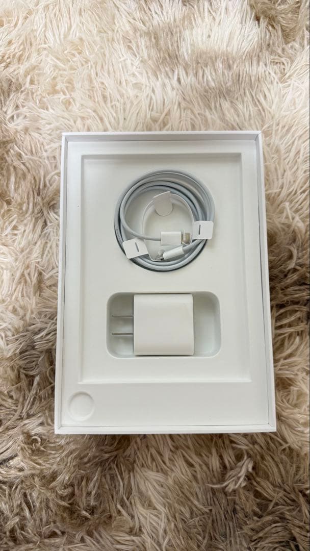 Apple iPad Mini6 64GB Wifi スペースグレー 【超美品】