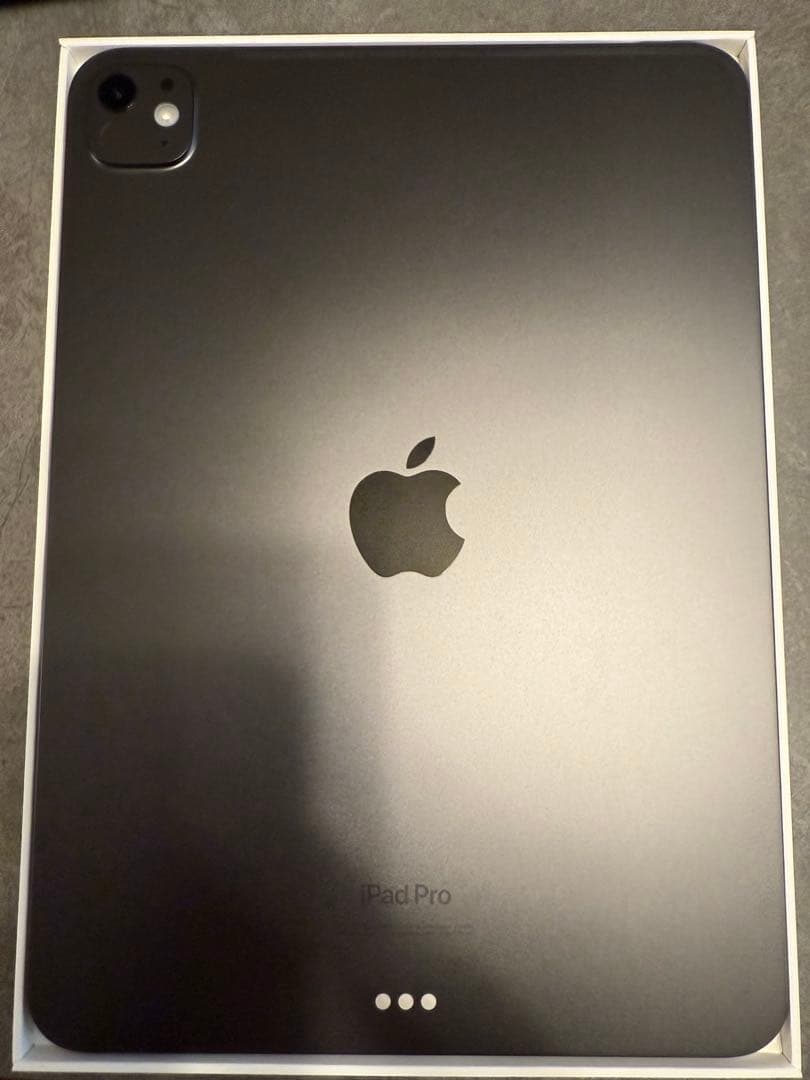 専用　iPad Pro スペースグレー 本体M4 wifi 256G 11インチ