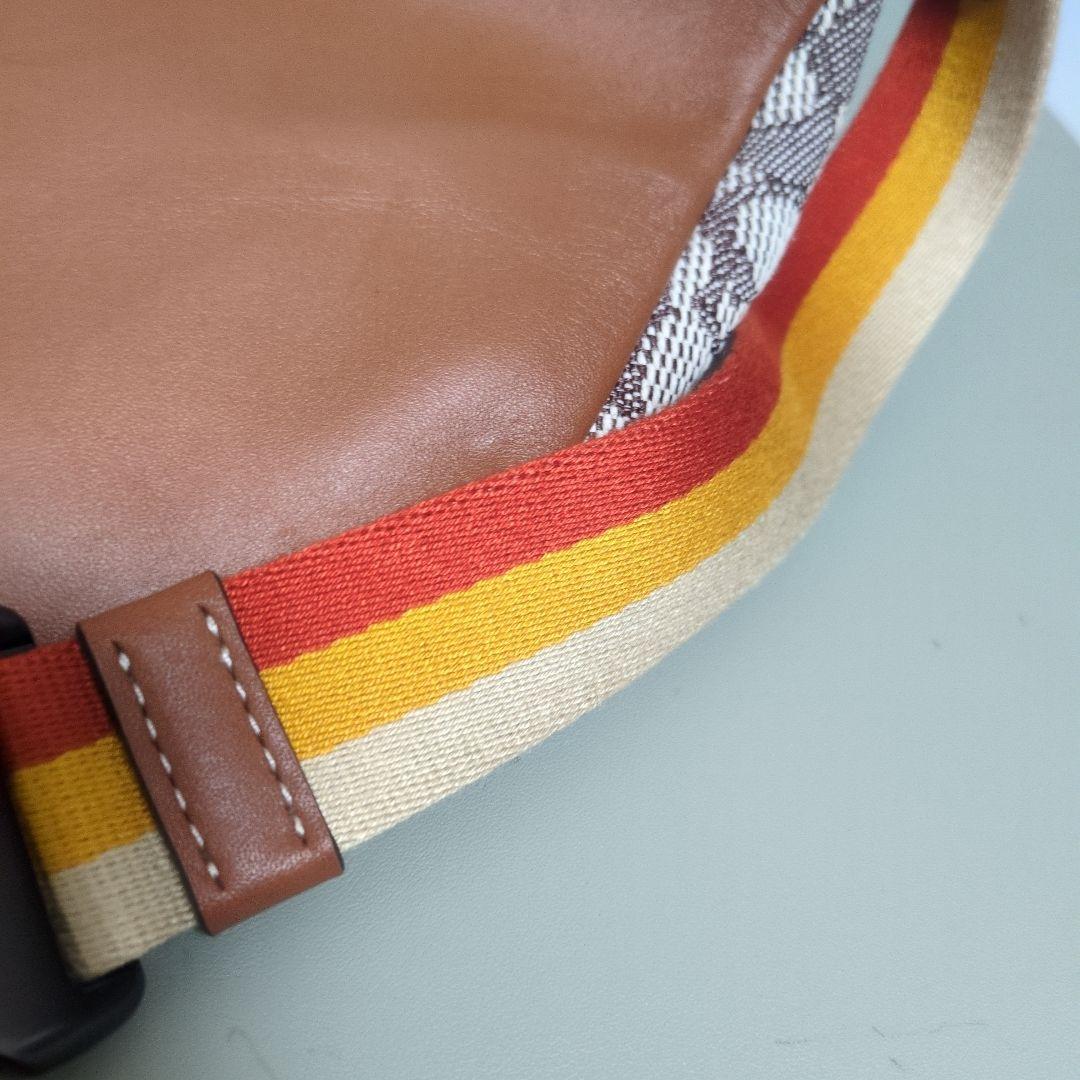 コーチ　ディズニー　50周年　完売品　ボディバッグ　COACH