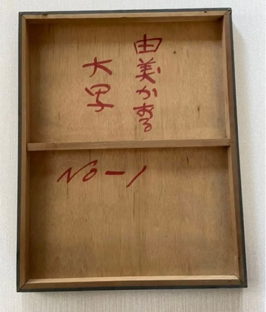 【由美かおる】希少アイテム・コメントお待ちしております 【匿名配送・送料込み】