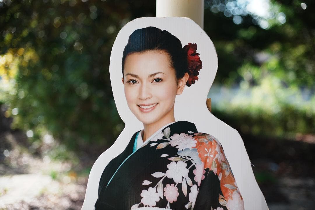 【整備＆テスト済】Nikon Ai Nikkor 50mm F1.4 221