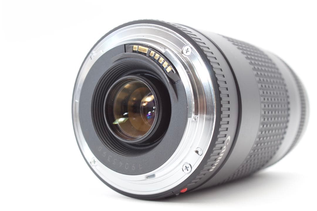 美品❣️Canon EF 75-300mm Ⅱ ✨超望遠レンズ　運動会　風景