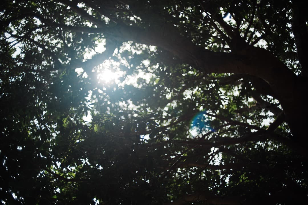 【美品】動作◎ SMC PENTAX-M 35mm F2 ペンタックス 539