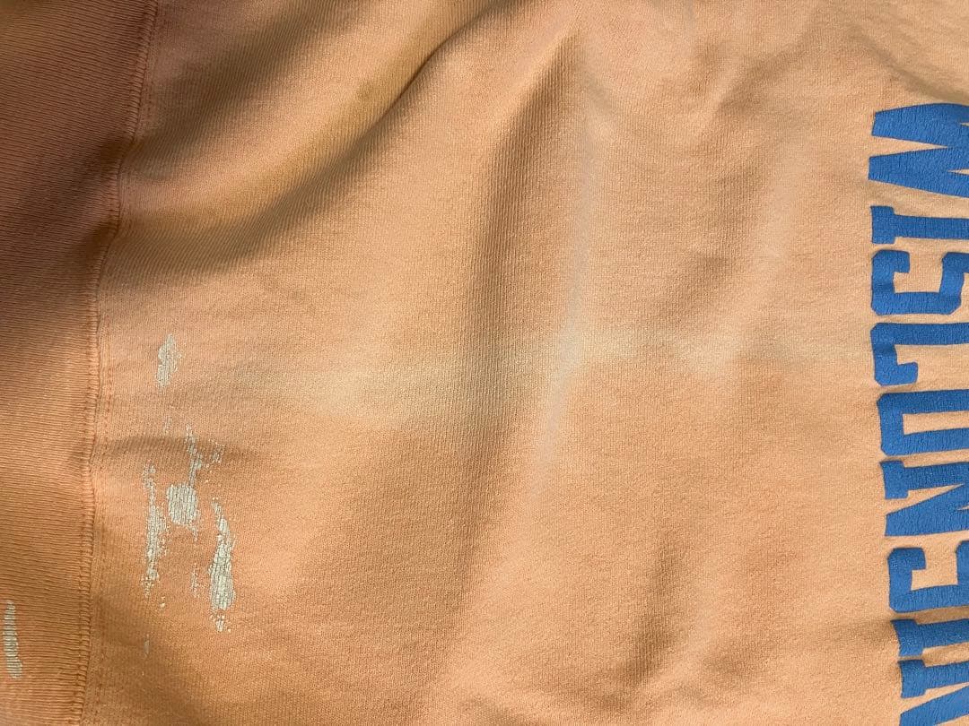 チャンピオン　リバースウィーブ　ウィスコンシン　トリコタグ　Mサイズ