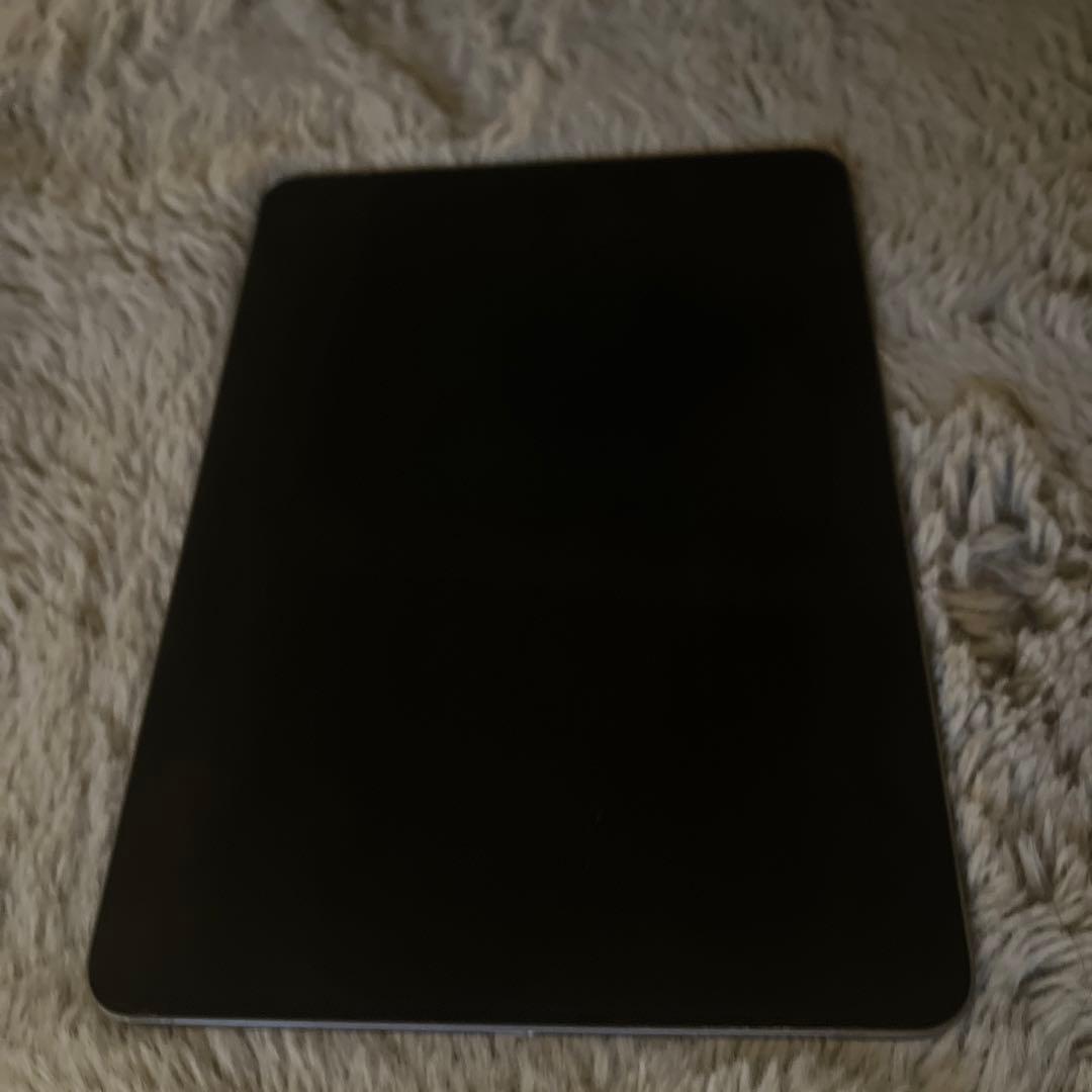 Apple iPad Pro  11  第二世代　　256GB