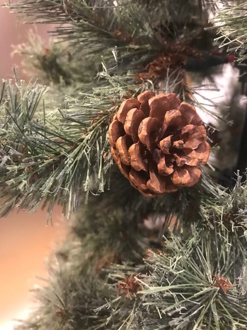 スタジオクリップ　クリスマスツリー　150