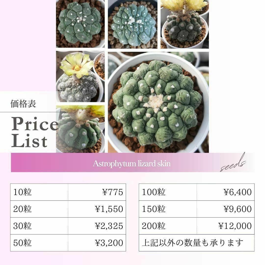 【すいっとぽてっと】