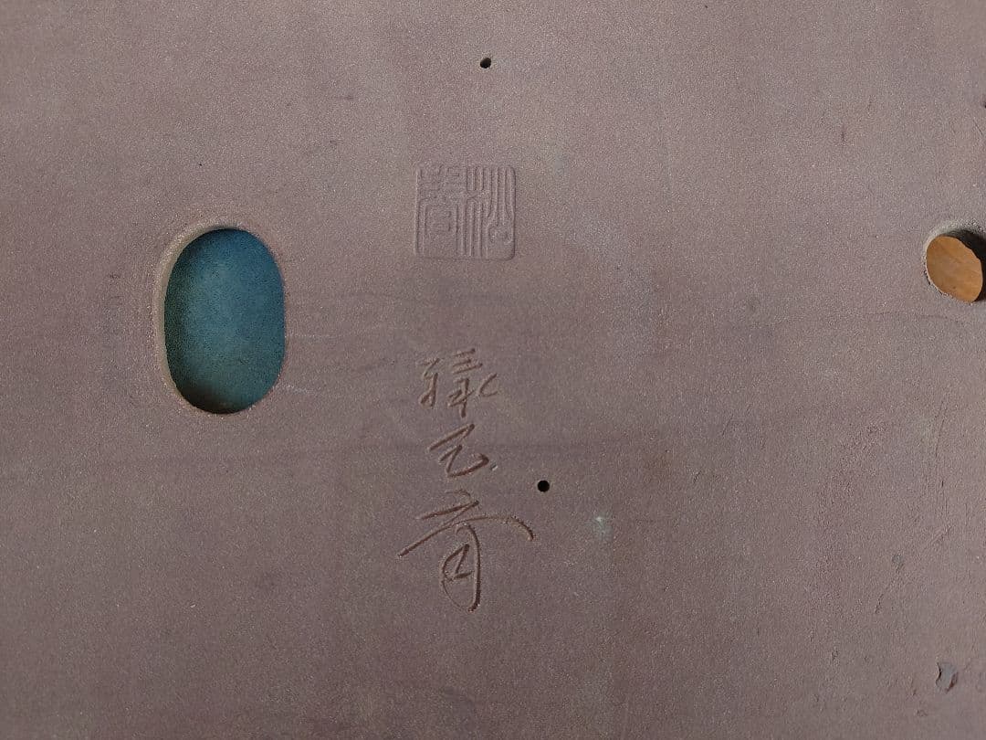 盆栽　鉢　緑巳斉春松　幅76.8cm