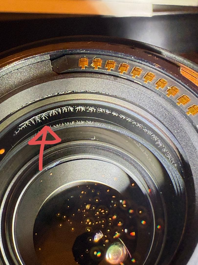 格安‼️LEICA APO-SUMMICRON-SL 90mm f/2 ASPH.