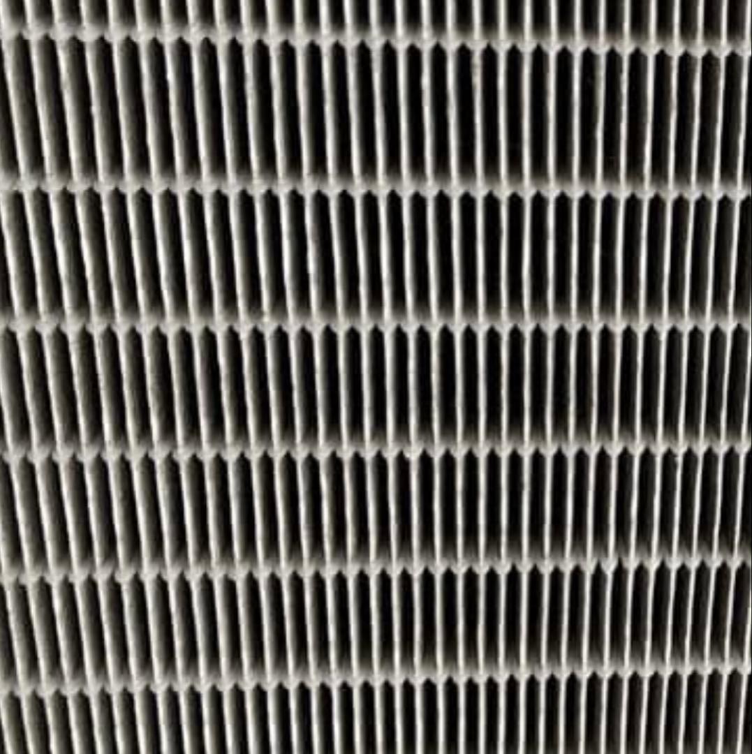 空気清浄機　バイオミクロン　BM-H101A