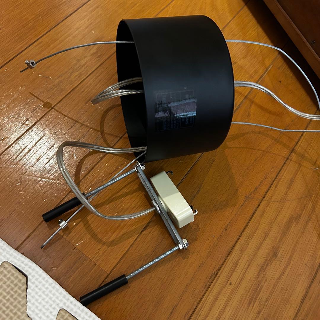 天井照明　照明　ボタニックカフェ 3ペンダントライト　本日限定値下げ価格